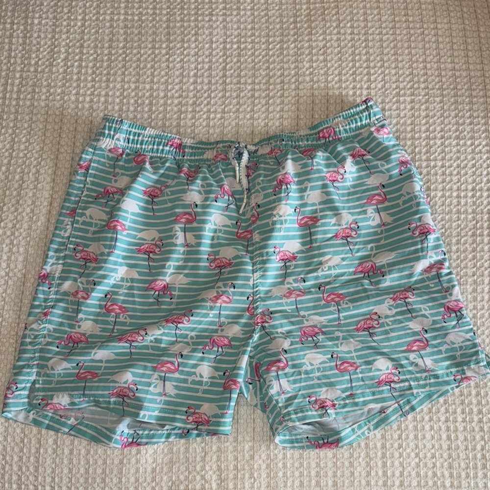Tropical Flamingo Print Men's Swim Trunks